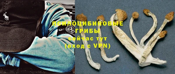 молекула духа Шадринск